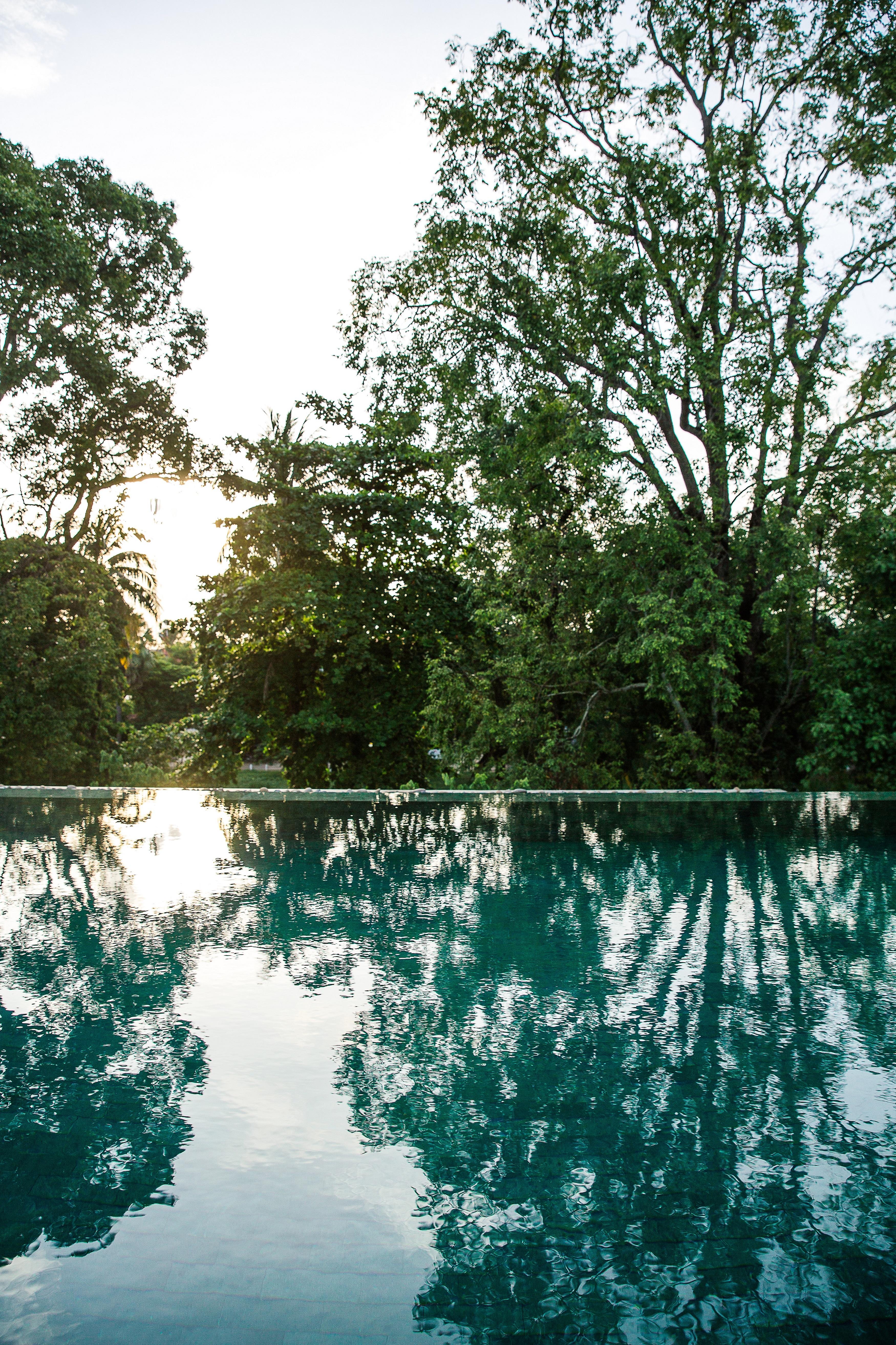 Treeline Urban Resort Siem Reap Exteriör bild
